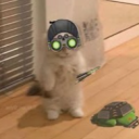 smoopify